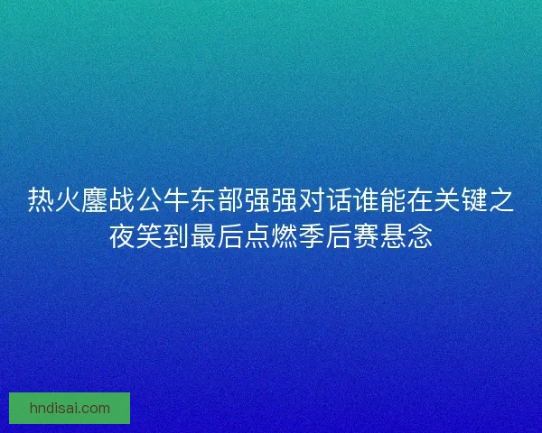 热火鏖战公牛东部强强对话谁能在关键之夜笑到最后点燃季后赛悬念